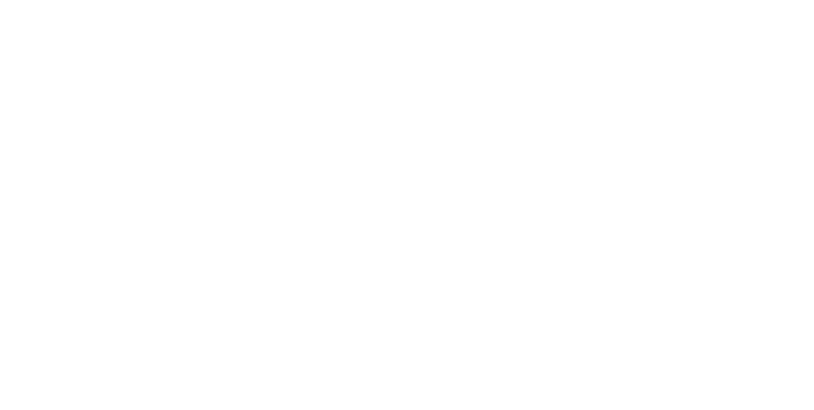 Logo Big SA